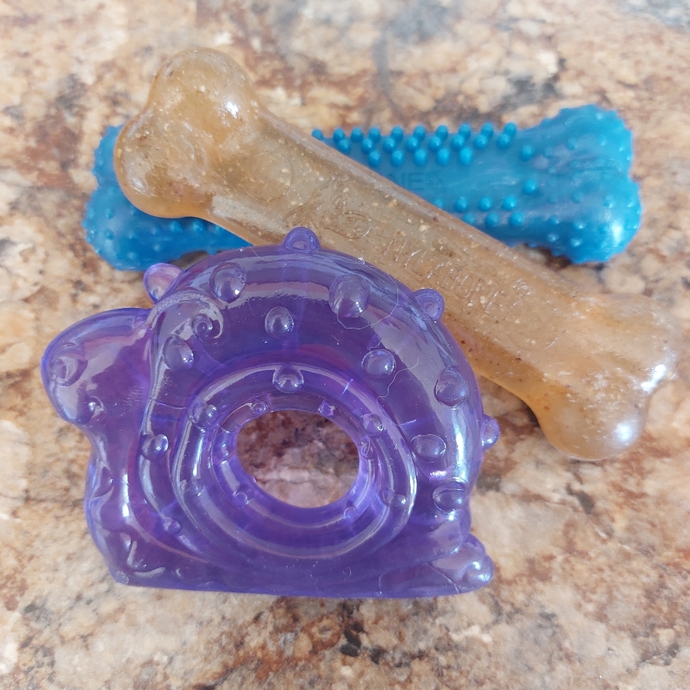 Nylabone Puppy chews & snail puppy chew